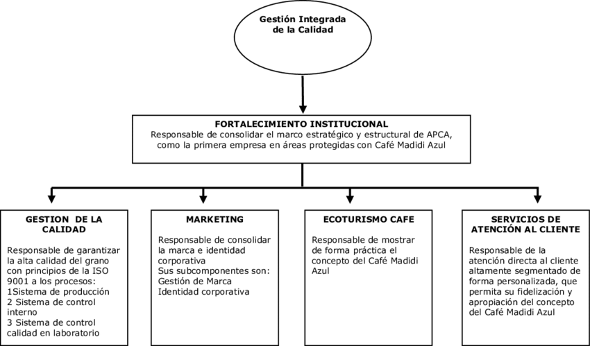 Procesos De Fortalecimiento Institucional Para La Obtención - Coffee (850x499), Png Download