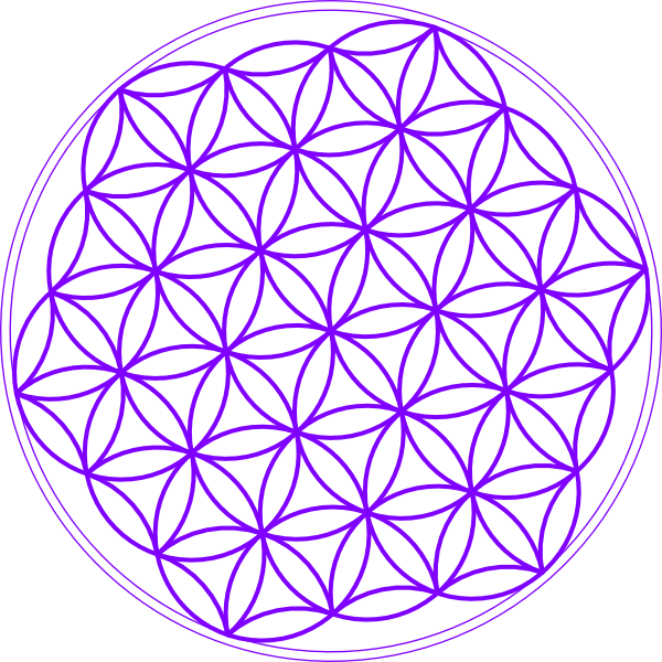 Flor De La Vida Para Abrir Registros Akashicos Madrid - Cross (600x600), Png Download