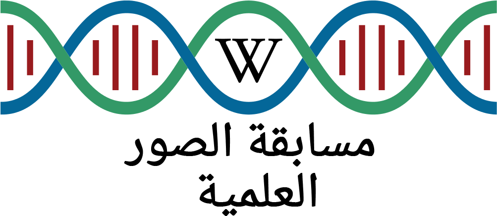 Logo For E-science Photo Competition V2 Ar - Science (1002x450), Png Download