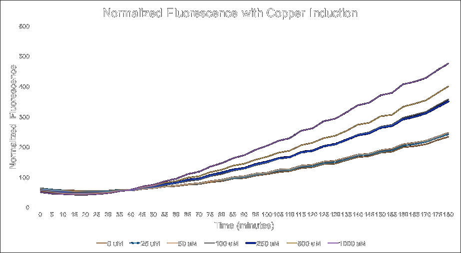 Copper Induced Rfp Expression Over Time - Plot (923x507), Png Download