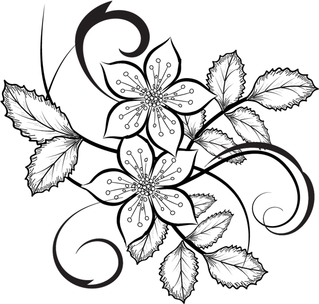 Flowers Vector Png Flora Pattern Pinterest Patterns - Flower (647x608), Png Download