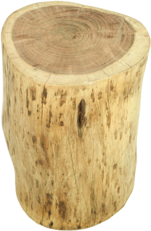 Natural Tree Stump Accent Table - Podstavec Z Akáciového Dřeva Hsm Collection Boom (480x733), Png Download