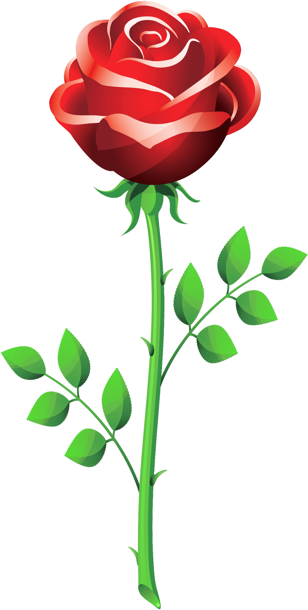Download Flowers For Rose Flower Vector Png Propose Pic With Rose PNG