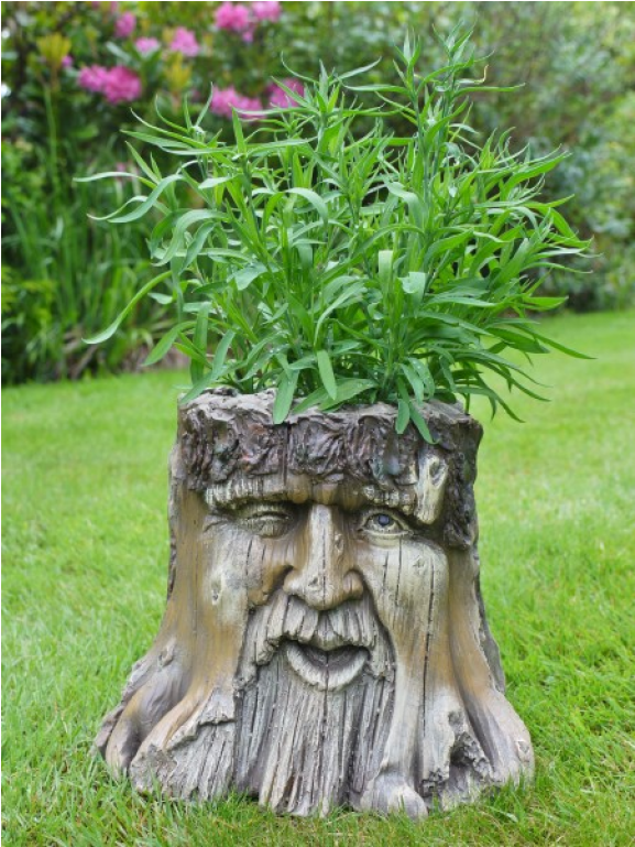 Novelty Tree Stump Garden Planter Wood Carved Face (1152x768), Png Download