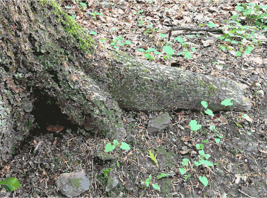 Soil Tree Stump - Moss (1011x750), Png Download