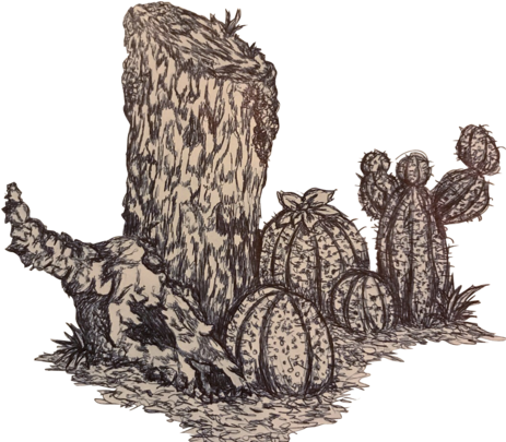 Welp, Here's The Same Desert Tree Stump, But Now It - Tree Stump (479x404), Png Download