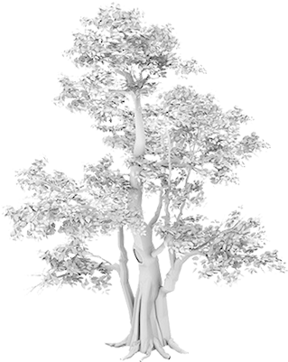 Tree Stump Grinding Brentwood, Tn - Banyan Tree Drawings (325x400), Png Download