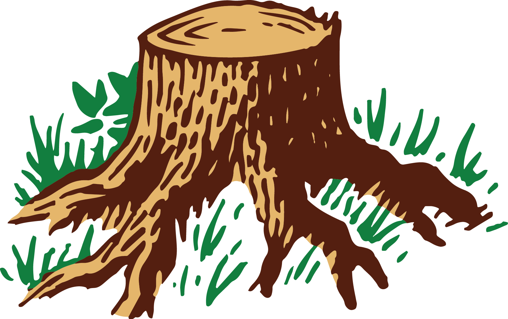 Original Size Is 1771 × 1113 Pixels - Root (1771x1113), Png Download