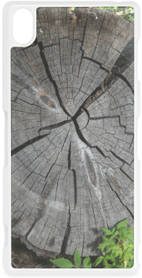 Dried Tree Stump Hard Case For Sony Xperia Z3 - Birch (500x500), Png Download