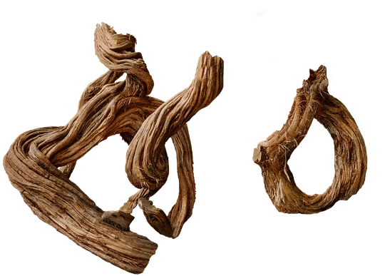 Tree (640x480), Png Download