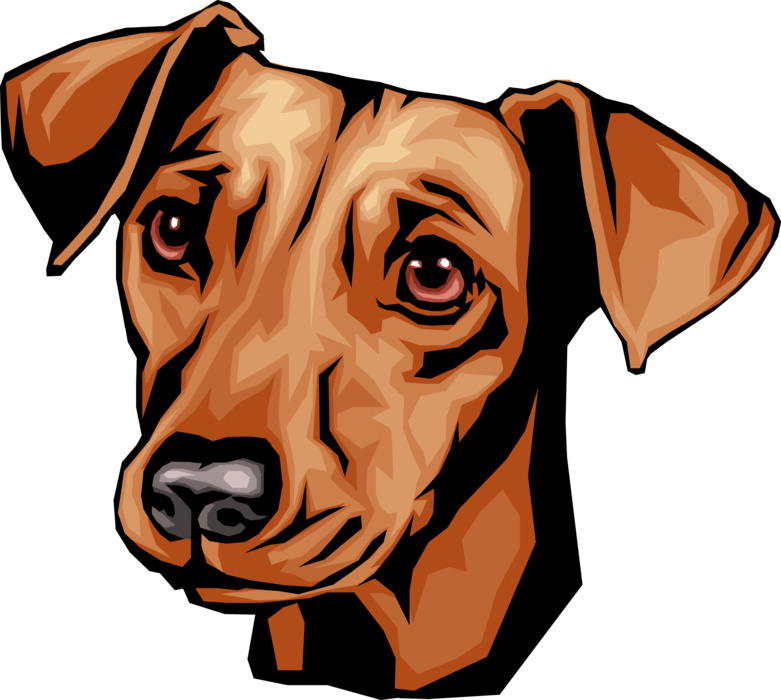 Vector Illustration Of Cute Dachshund Dog Head - Dachshund Cute Vector Head (781x700), Png Download