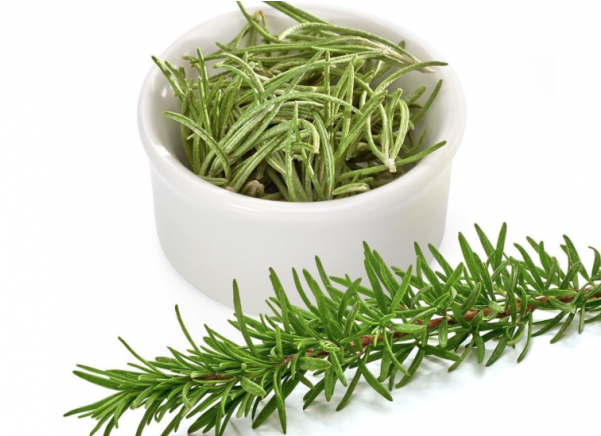 More Views - Rosemary Wild (600x600), Png Download