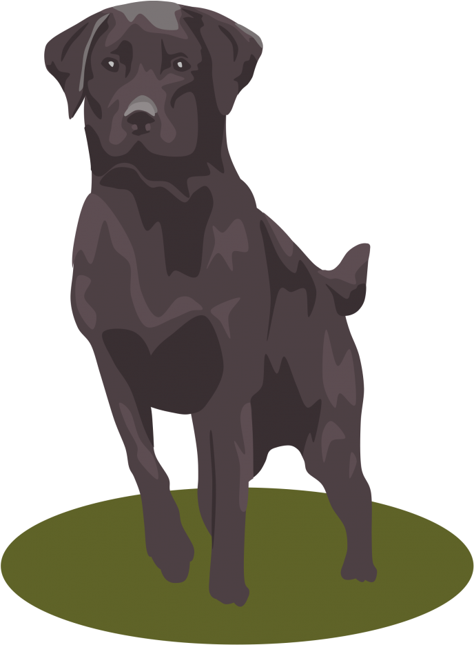 Vector Clip Art - Black Lab Clipart (600x814), Png Download