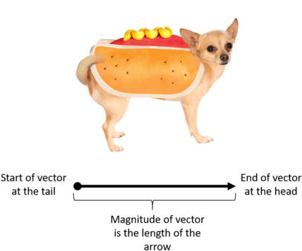The Length Of The Arrow Represents The Magnitude Of - Hot Pet Costumes By Rubie's - Hot Dog Pet Costume (450x368), Png Download