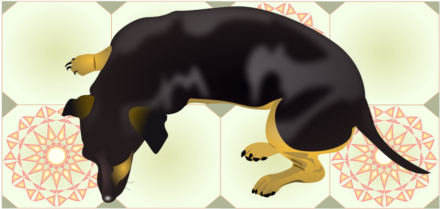 How To Set Use Renato Dog Clipart (900x428), Png Download