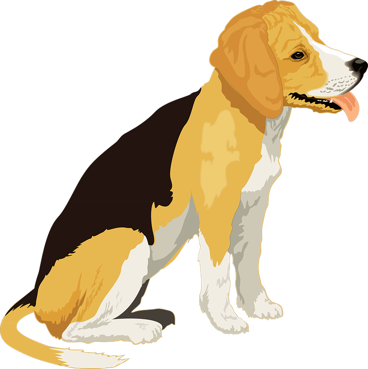 Beagle Black Dog Pencil And In Color (717x720), Png Download
