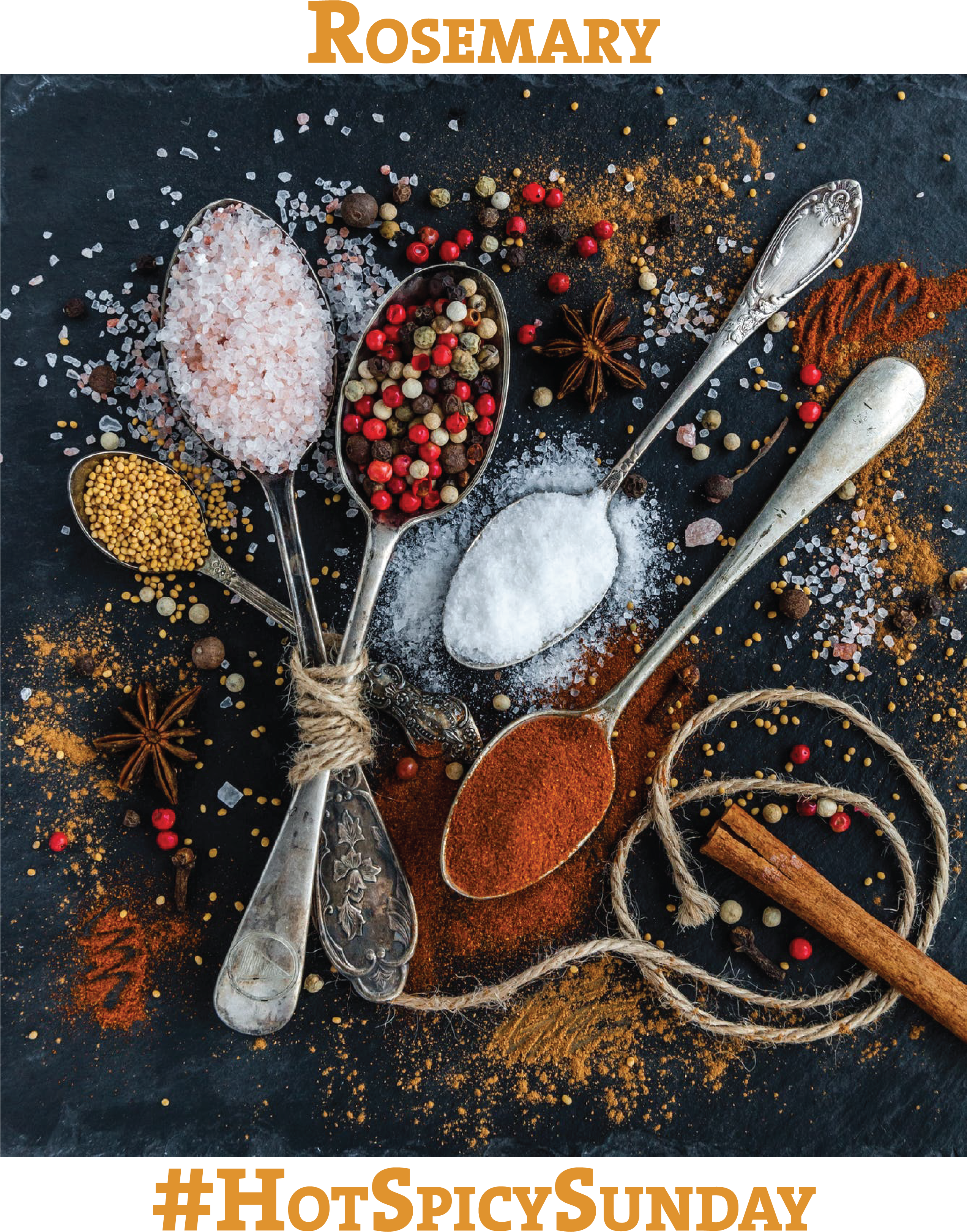 Rosemary - Spices Cooking Journal: 110 Page 8x10 Inch Blank Recipe (2546x3390), Png Download