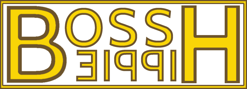 Bosshippie 2-fullrez - Portable Network Graphics (1000x360), Png Download