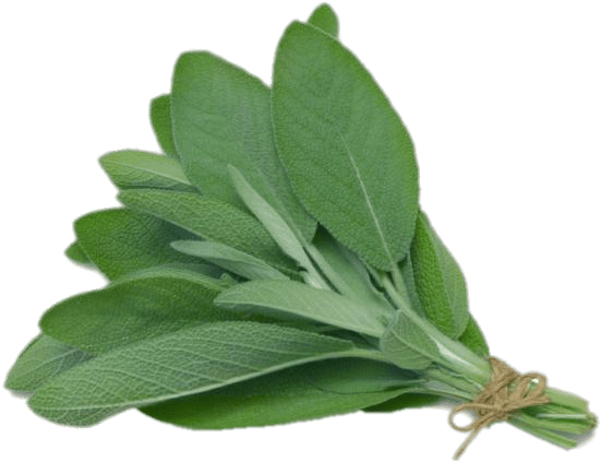 Sage - Herb Sage (400x400), Png Download