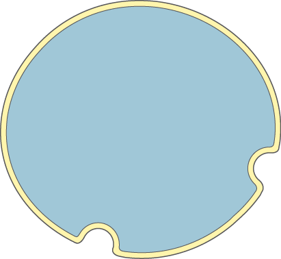 Download The Image - Cell (411x378), Png Download