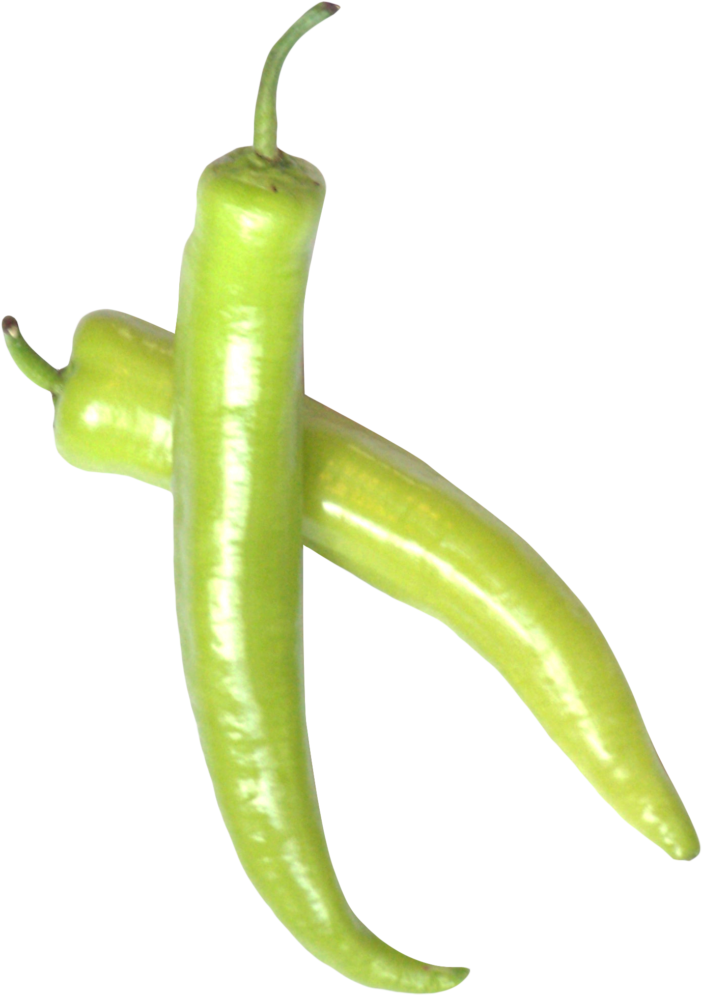 Green Chili Pepper Png Image - Green Chili Pepper Png (1527x2082), Png Download