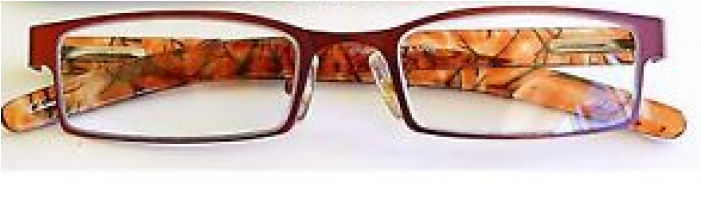 Foster Grant Magnetic Reading Glasses - Foster Grant / Magnivision (+1.50) Burgandy Reading (700x700), Png Download