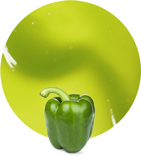 Green Pepper - Puree - Green Bell Pepper (536x595), Png Download