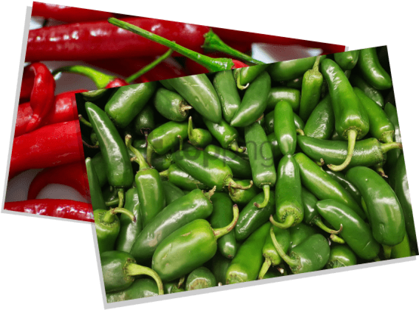 Contact Us - - Bird's Eye Chili (580x429), Png Download