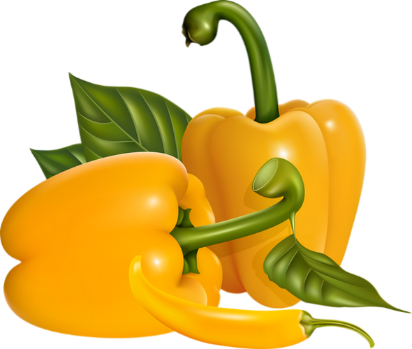 Poivrons Jaunes Png - Bell Pepper (590x500), Png Download