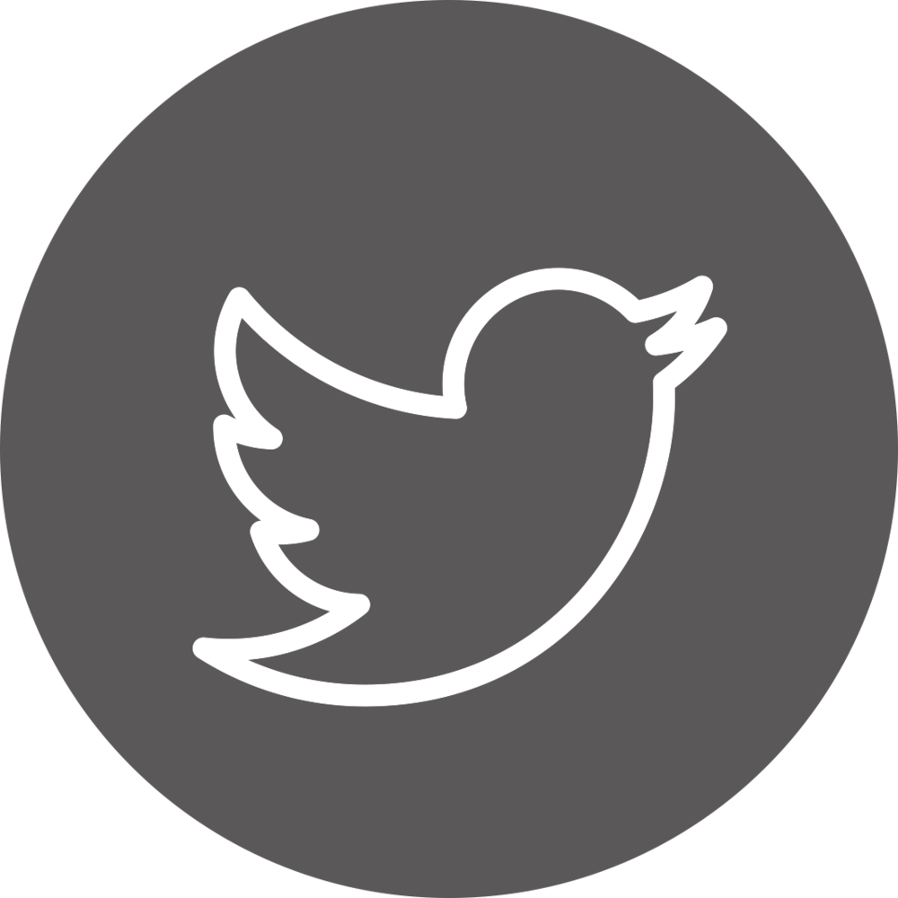 Twitter Icon Png Gray - Gmail And Facebook Logo (1000x1000), Png Download