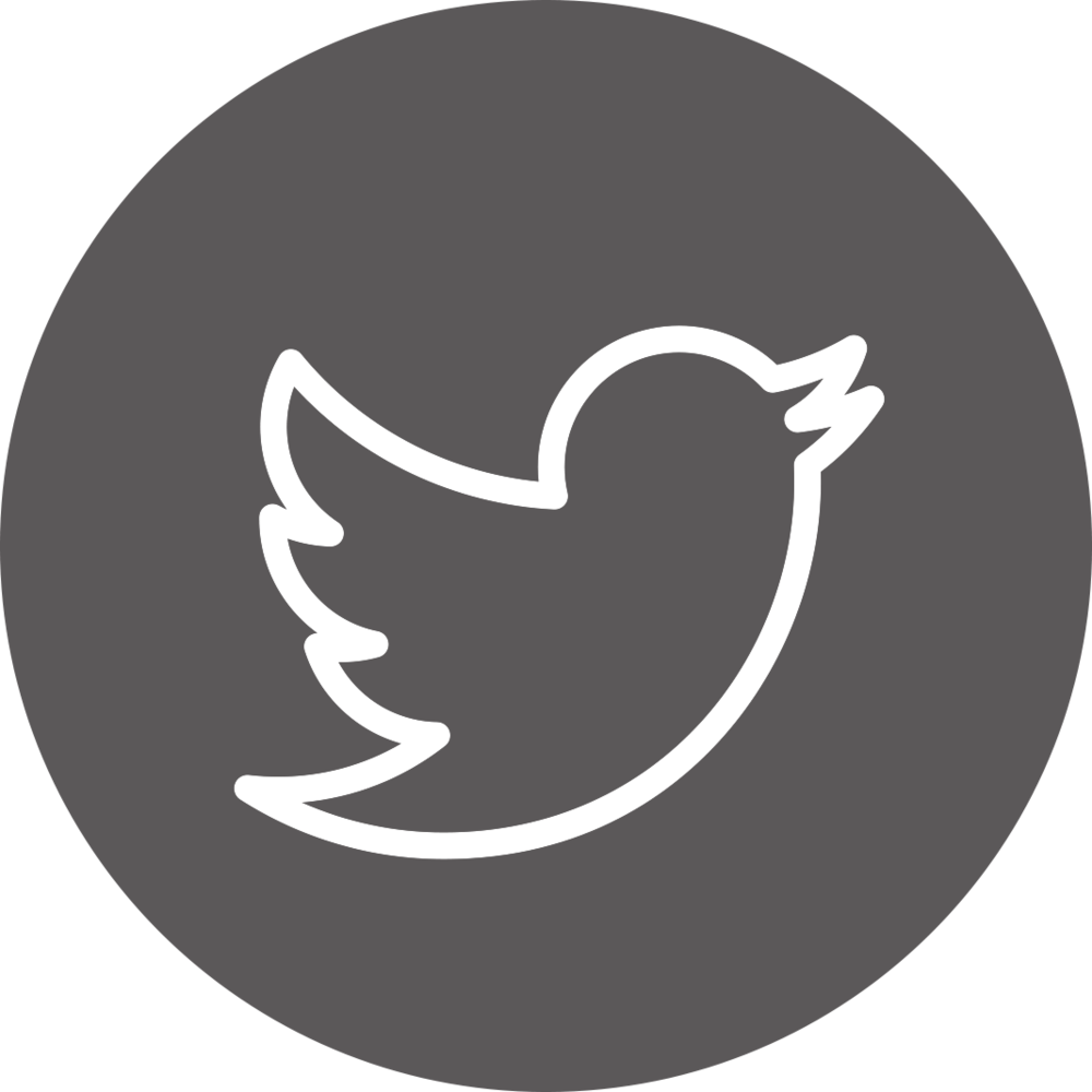 Download Twitter Icon Png Gray - Gmail And Facebook Logo PNG Image with No  Background - PNGkey.com