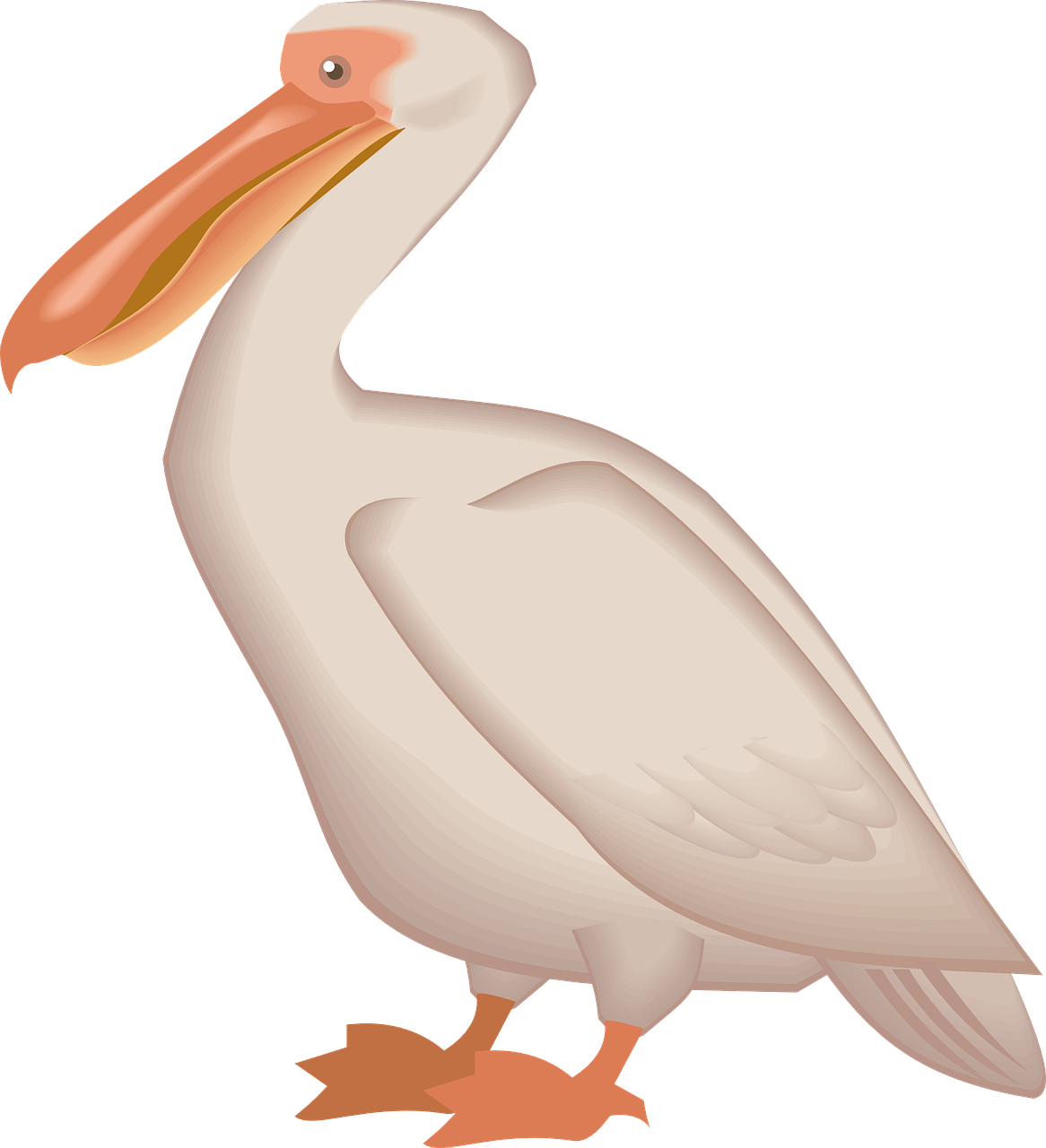 Pelican Png - Пеликан Png (546x599), Png Download