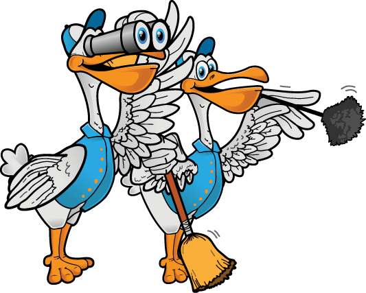 White Pelican Realty - Logo (533x427), Png Download