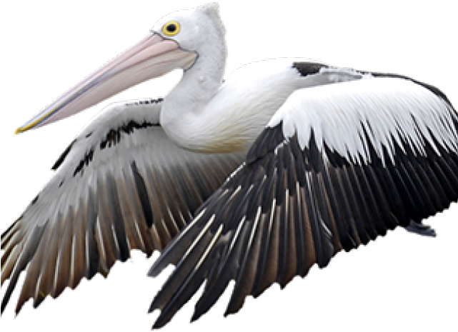 Portable Network Graphics (640x480), Png Download