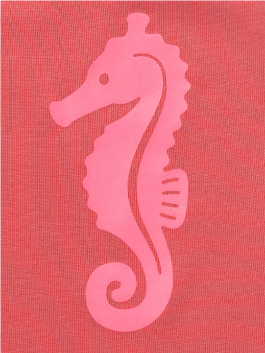 Tapete Ava Sea Horse Suit - Northern Seahorse (960x720), Png Download