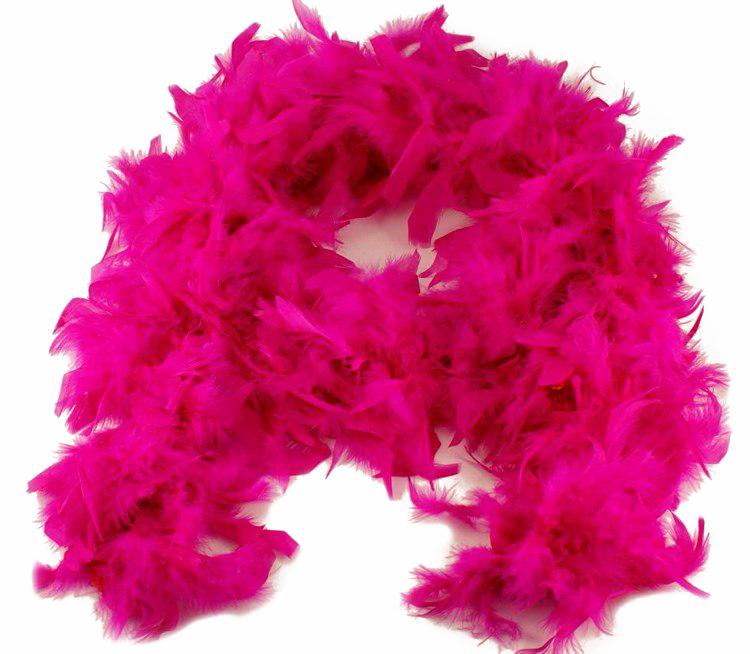 Feather Boa Png Download Image - Feather Boa (750x654), Png Download