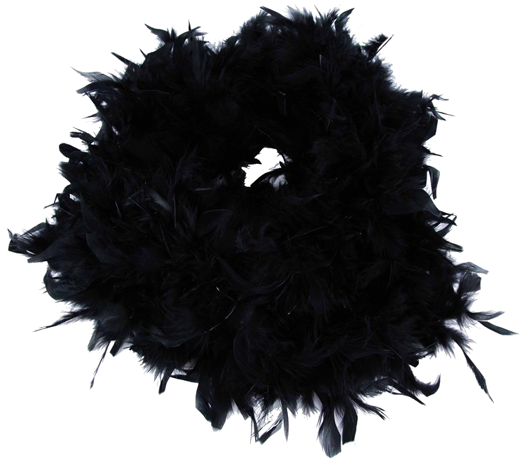 Feather Boa Transparent Image - Flower (750x680), Png Download