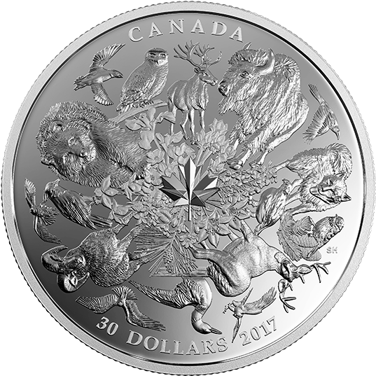 Pure Silver Coin - 2 Oz Pure Silver Coin Flora And Fauna Of Canada (570x570), Png Download