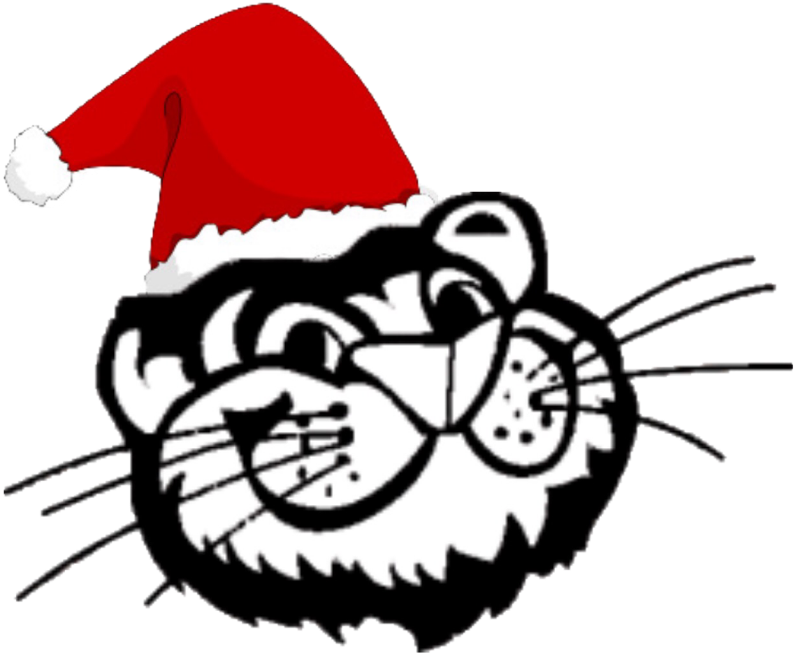 Year 5 & 6 Christmas Performance Is On Tuesday 11th - Southfields Primary School (2048x1536), Png Download