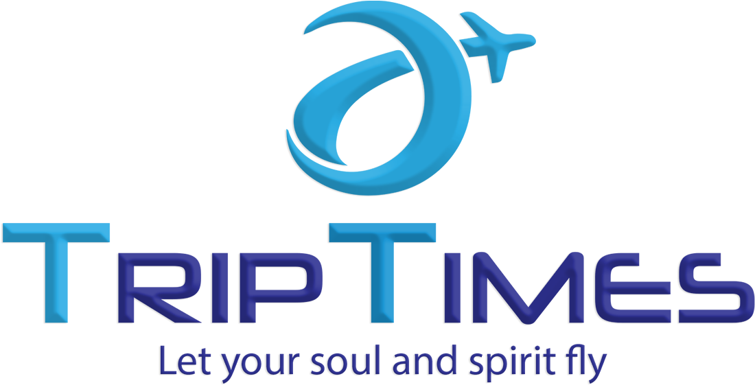 View Image Results For Airline Tickets Best Price Guarantee - Travel Agency (2000x2000), Png Download