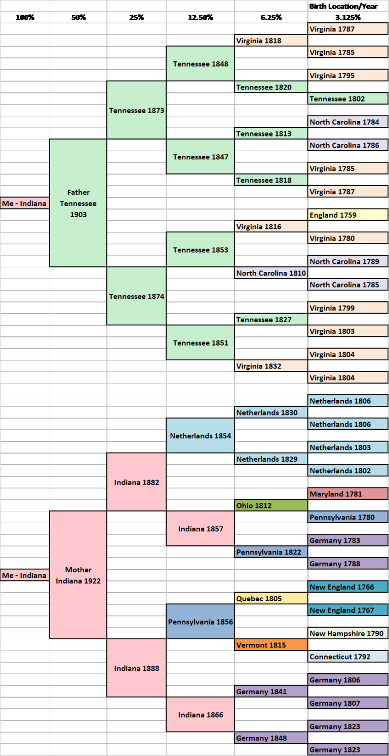 Migration Pedigree - Family Tree Template Migration (768x1490), Png Download