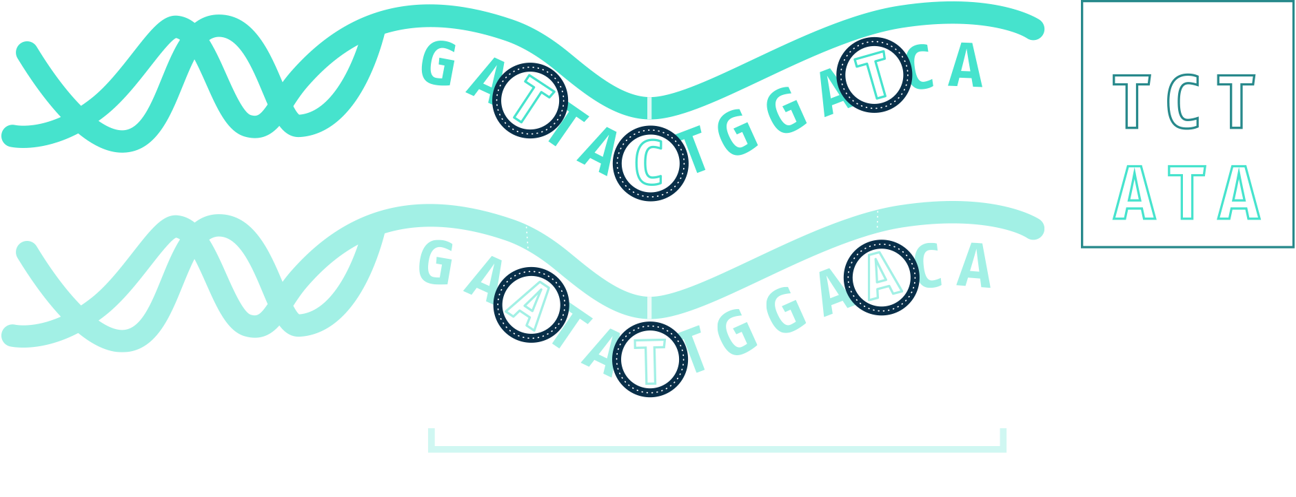 Zoom Image (1880x722), Png Download