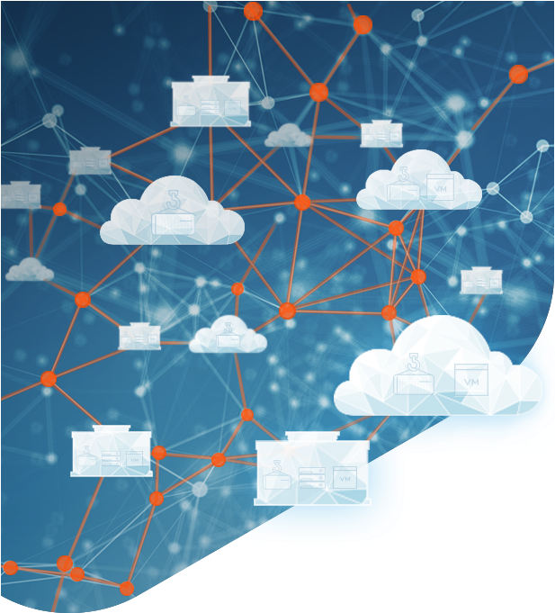 Avi Networks (616x731), Png Download