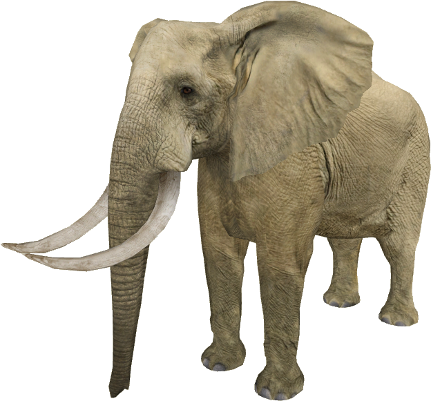 Desert Elephant - Zt2 Elephant (623x623), Png Download