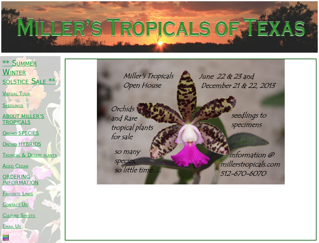 Millers Tropicals Competitors, Revenue And Employees - Toad Lily (1024x780), Png Download