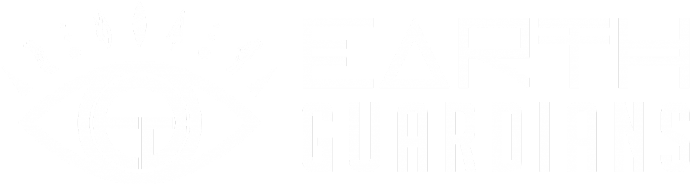 Earth Guardians Is A Youth Led Inter Generational 501 - Earth Guardians Logo (1024x301), Png Download