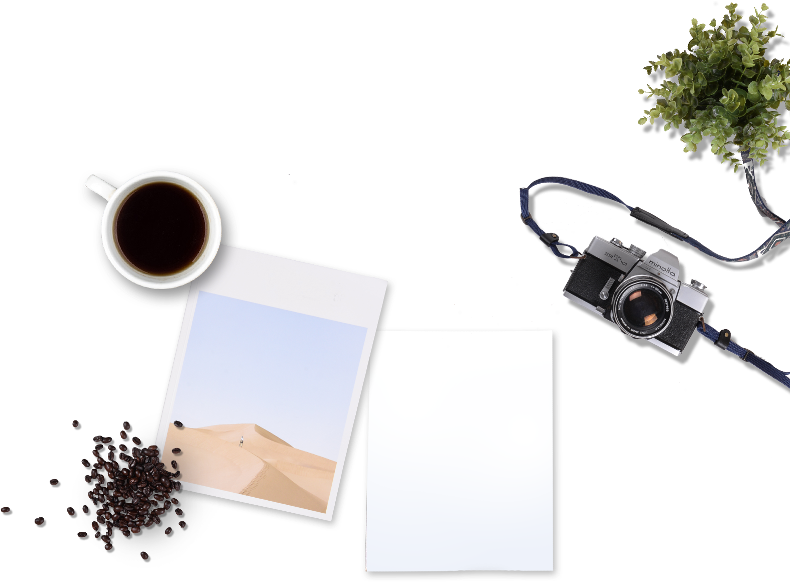 Bg News Section - Coffee Substitute (1600x1196), Png Download