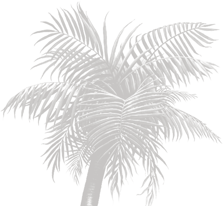 Bg Right Section 2 - Walls Of The Wild Palm Tree Peel (727x702), Png Download