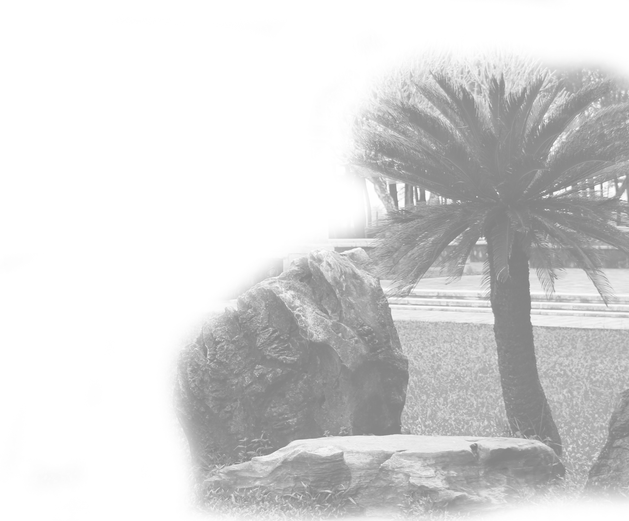 Landscaping, Garden Restoration & Maintenance Services - Monochrome (2500x2072), Png Download