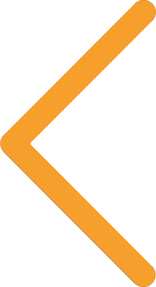 Actionbar Icon And Text Different Colors [duplicate] - Orange Prev Arrow (534x980), Png Download